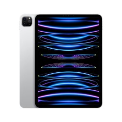 Acheter le nouvel iPad Pro 11 (2022) Wifi 256 Go Argent  en plusieurs fois chez wedealee